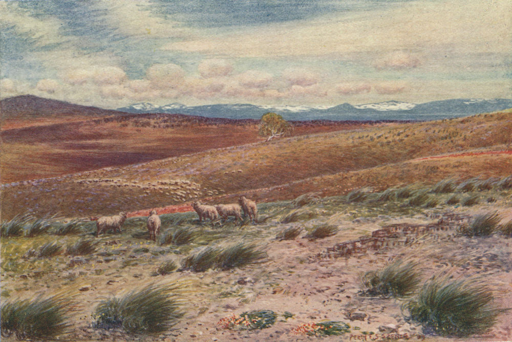 The Snowy Mountains; near to Federal Capital site. Percy Spence. Australia 1910